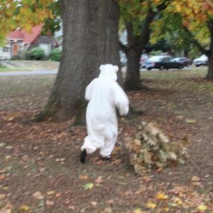 Meet your Posher, Nina